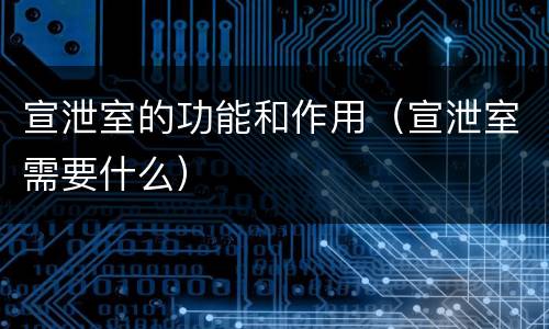 宣泄室的功能和作用（宣泄室需要什么）