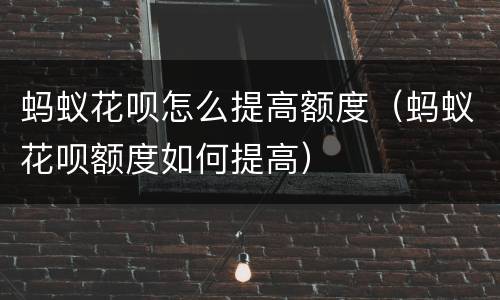 蚂蚁花呗怎么提高额度（蚂蚁花呗额度如何提高）