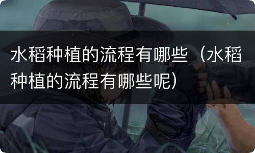 水稻种植的流程有哪些（水稻种植的流程有哪些呢）