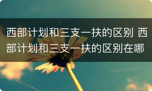 西部计划和三支一扶的区别 西部计划和三支一扶的区别在哪里