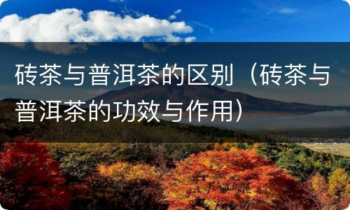 砖茶与普洱茶的区别（砖茶与普洱茶的功效与作用）