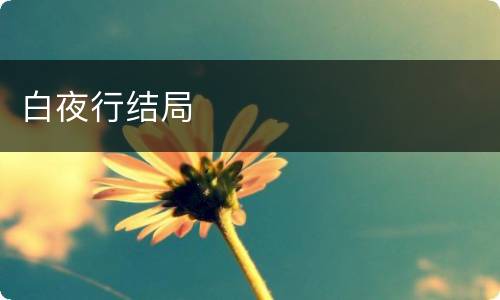 白夜行结局