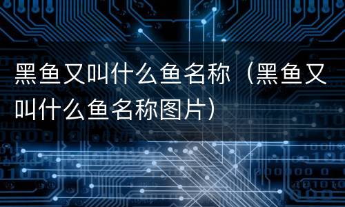 黑鱼又叫什么鱼名称（黑鱼又叫什么鱼名称图片）