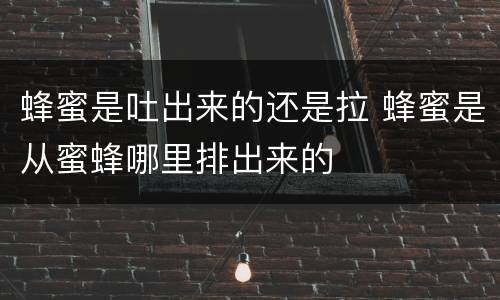 蜂蜜是吐出来的还是拉 蜂蜜是从蜜蜂哪里排出来的