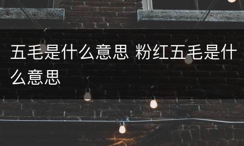 五毛是什么意思 粉红五毛是什么意思