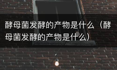 酵母菌发酵的产物是什么（酵母菌发酵的产物是什么）