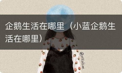 企鹅生活在哪里（小蓝企鹅生活在哪里）