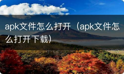 apk文件怎么打开（apk文件怎么打开下载）