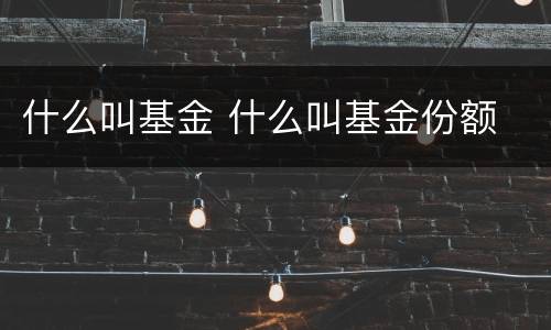 什么叫基金 什么叫基金份额