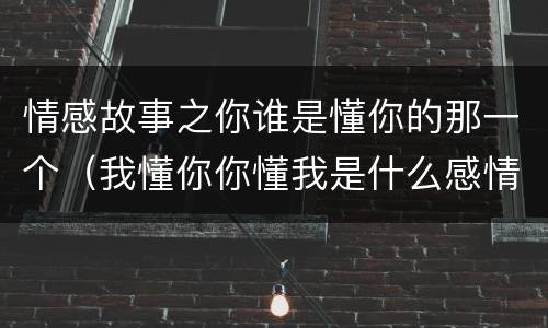 情感故事之你谁是懂你的那一个（我懂你你懂我是什么感情）