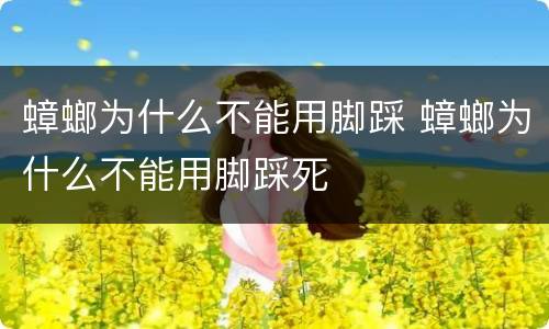 蟑螂为什么不能用脚踩 蟑螂为什么不能用脚踩死