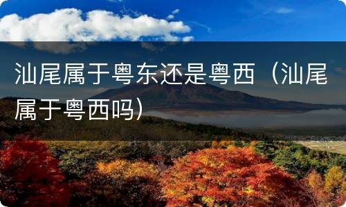汕尾属于粤东还是粤西（汕尾属于粤西吗）