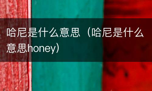 哈尼是什么意思（哈尼是什么意思honey）