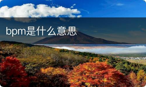 bpm是什么意思