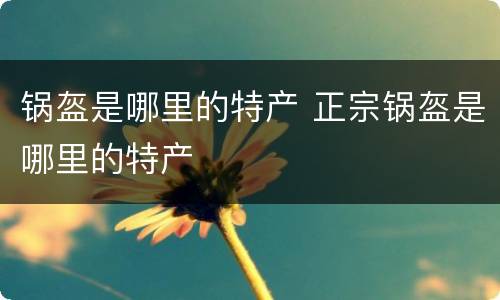 锅盔是哪里的特产 正宗锅盔是哪里的特产