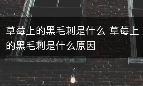 草莓上的黑毛刺是什么 草莓上的黑毛刺是什么原因