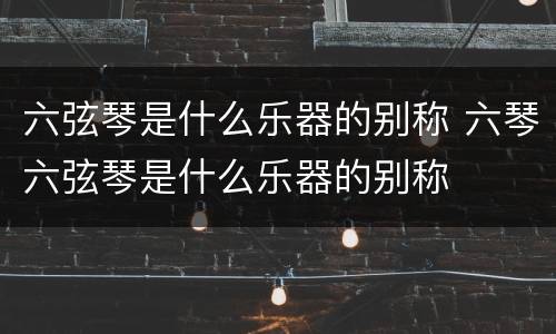 六弦琴是什么乐器的别称 六琴六弦琴是什么乐器的别称