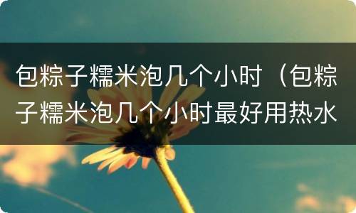 包粽子糯米泡几个小时（包粽子糯米泡几个小时最好用热水还是冷水）