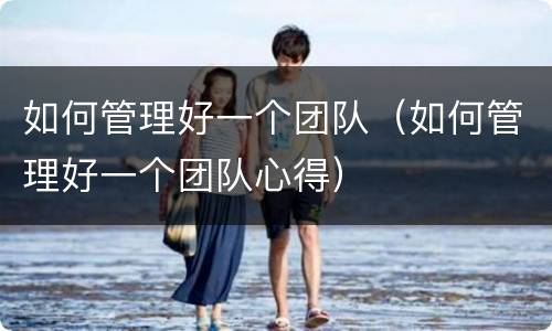 如何管理好一个团队（如何管理好一个团队心得）