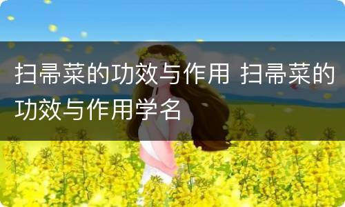 扫帚菜的功效与作用 扫帚菜的功效与作用学名
