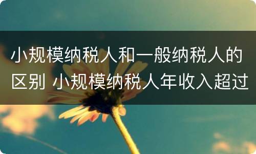 小规模纳税人和一般纳税人的区别 小规模纳税人年收入超过500万必须转为一般纳税人吗