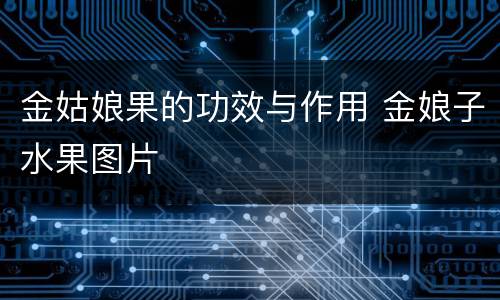 金姑娘果的功效与作用 金娘子水果图片