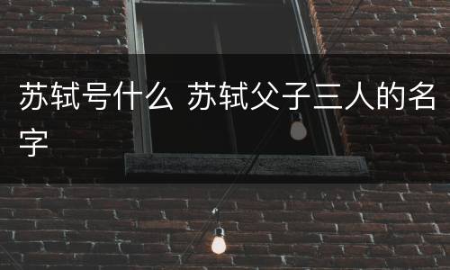 苏轼号什么 苏轼父子三人的名字