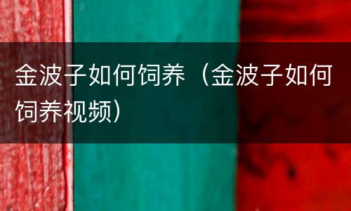 金波子如何饲养（金波子如何饲养视频）