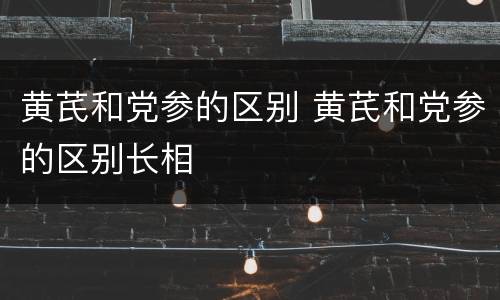 黄芪和党参的区别 黄芪和党参的区别长相