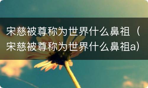 宋慈被尊称为世界什么鼻祖（宋慈被尊称为世界什么鼻祖a）