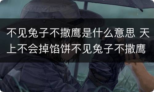 不见兔子不撒鹰是什么意思 天上不会掉馅饼不见兔子不撒鹰是什么意思