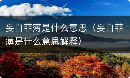妄自菲薄是什么意思（妄自菲薄是什么意思解释）