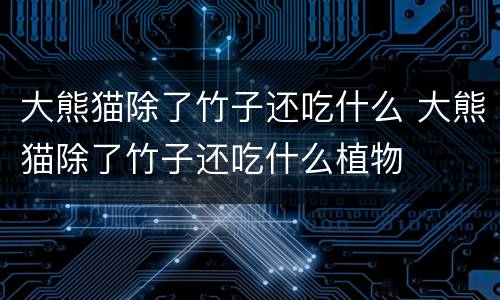 大熊猫除了竹子还吃什么 大熊猫除了竹子还吃什么植物