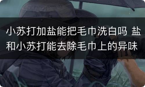 小苏打加盐能把毛巾洗白吗 盐和小苏打能去除毛巾上的异味吗