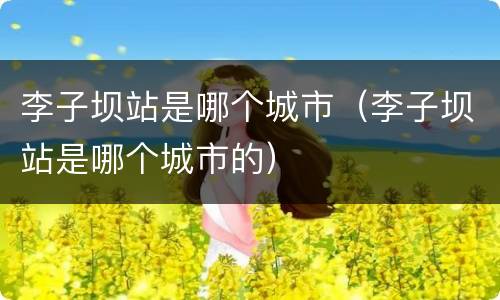 李子坝站是哪个城市（李子坝站是哪个城市的）