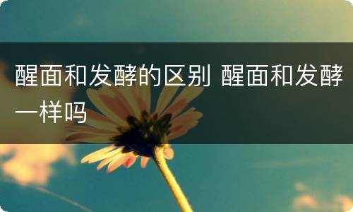 醒面和发酵的区别 醒面和发酵一样吗