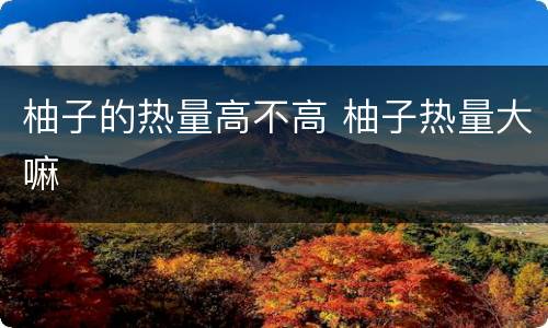 柚子的热量高不高 柚子热量大嘛