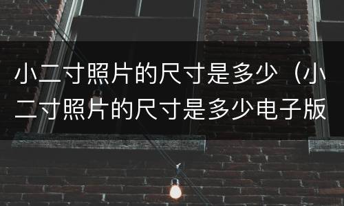 小二寸照片的尺寸是多少（小二寸照片的尺寸是多少电子版怎么弄）