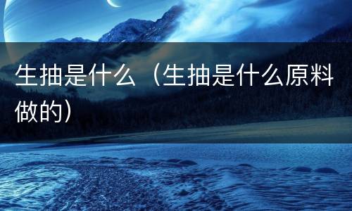 生抽是什么（生抽是什么原料做的）