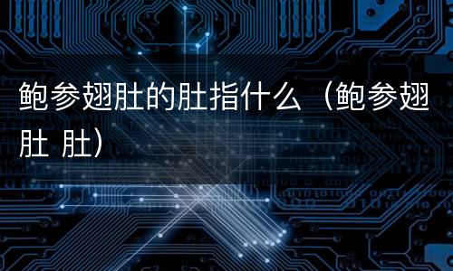 鲍参翅肚的肚指什么（鲍参翅肚 肚）