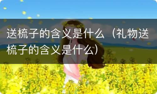 送梳子的含义是什么（礼物送梳子的含义是什么）