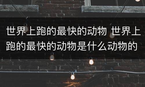 世界上跑的最快的动物 世界上跑的最快的动物是什么动物的短视频