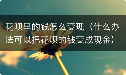 花呗里的钱怎么变现（什么办法可以把花呗的钱变成现金）