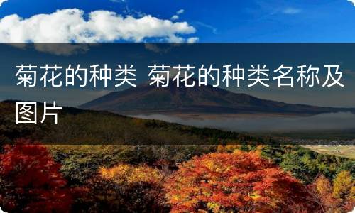 菊花的种类 菊花的种类名称及图片