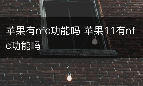 苹果有nfc功能吗 苹果11有nfc功能吗