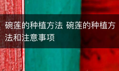碗莲的种植方法 碗莲的种植方法和注意事项