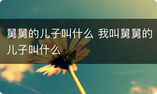 舅舅的儿子叫什么 我叫舅舅的儿子叫什么