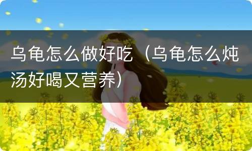 乌龟怎么做好吃（乌龟怎么炖汤好喝又营养）