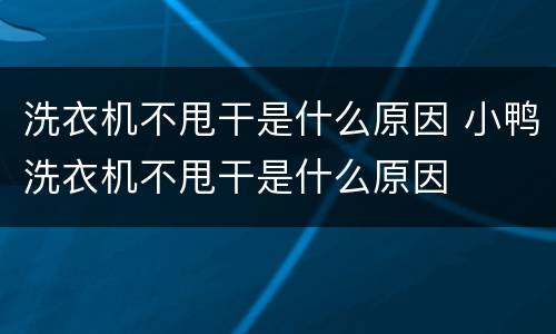 洗衣机不甩干是什么原因 小鸭洗衣机不甩干是什么原因