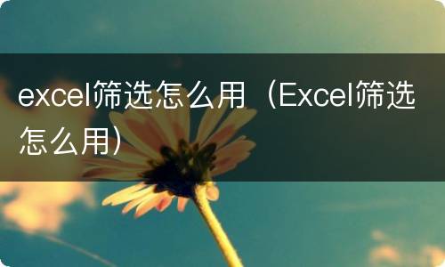 excel筛选怎么用（Excel筛选怎么用）